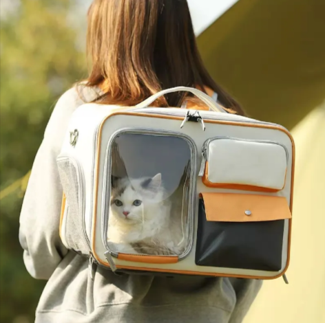 Beige kattryggsäck med katt, sedd bakifrån