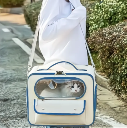 Kattryggsäck med en katt i, buren över axeln